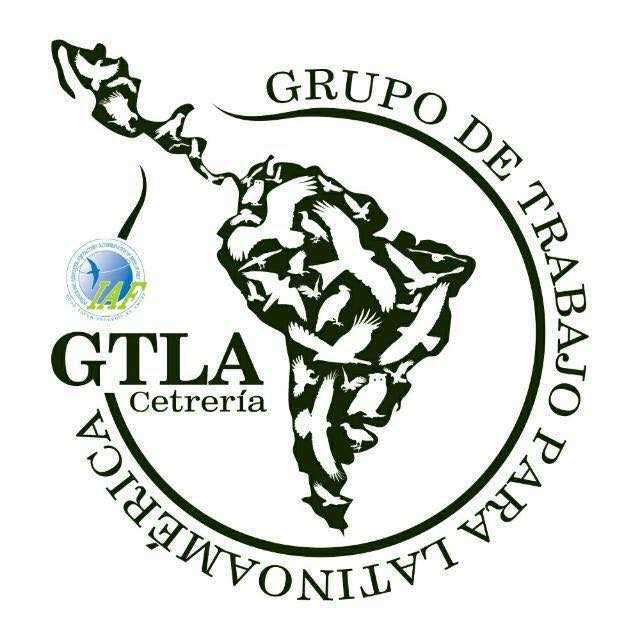 Logo del GTLA