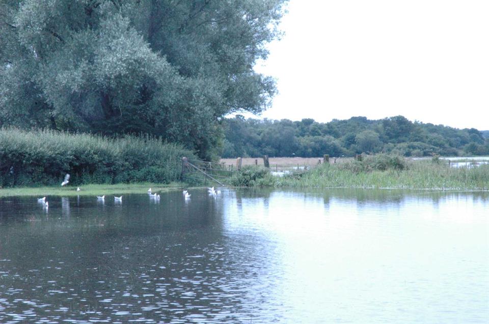 An unusually high tide at Stoborough in the United Kingdom