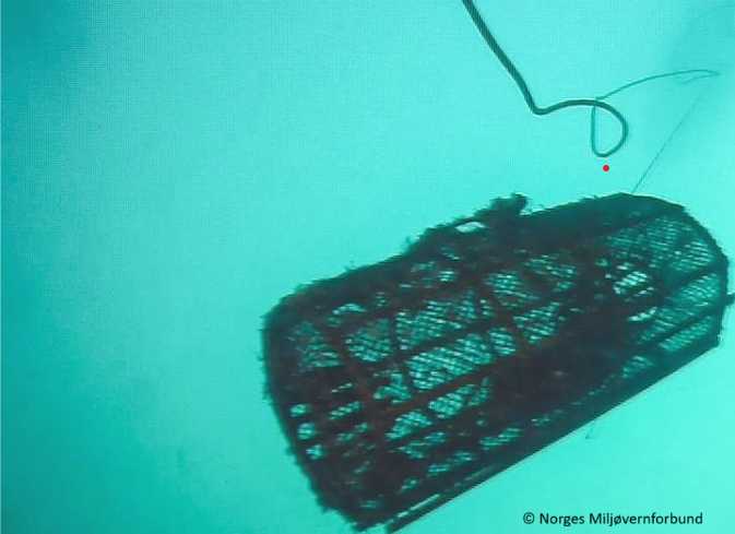 A lost lobster pot creates risk of Ghostfishing